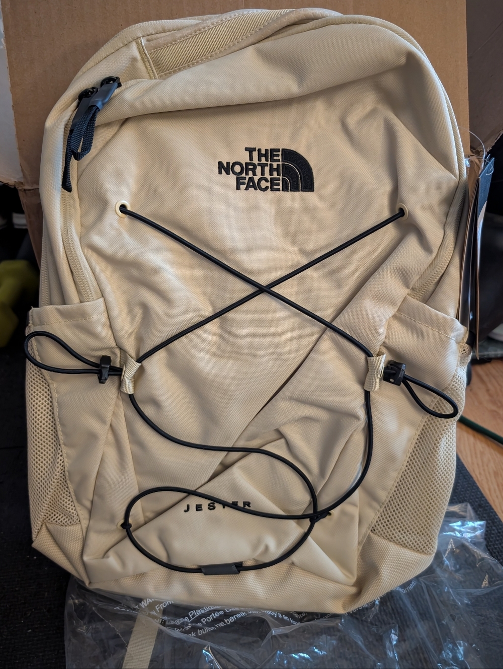 The North Face Jester Backpack in Beige